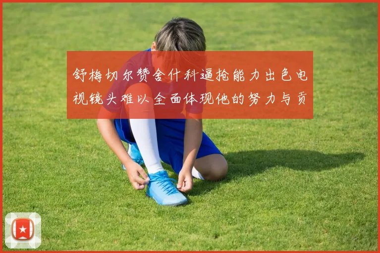 舒梅切尔赞舍什科逼抢能力出色电视镜头难以全面体现他的努力与贡献